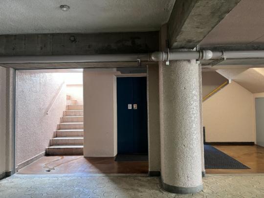 �@���̑����L����