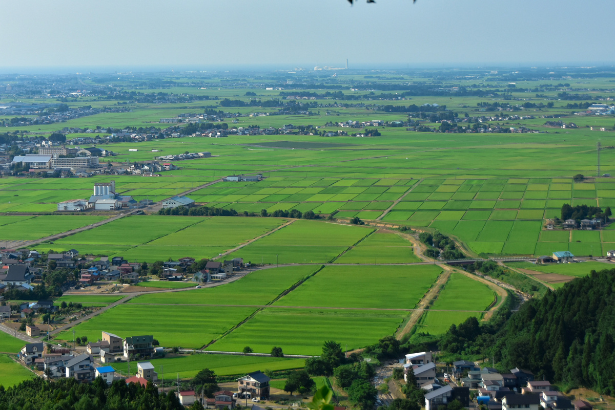 field